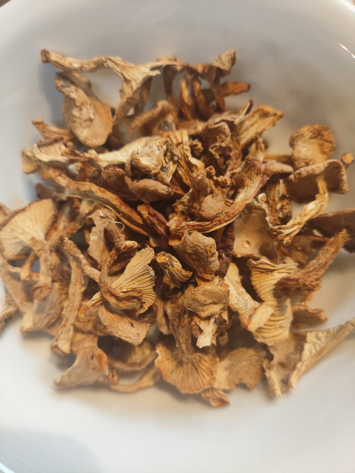 Chanterelle dried , Eastern Europe