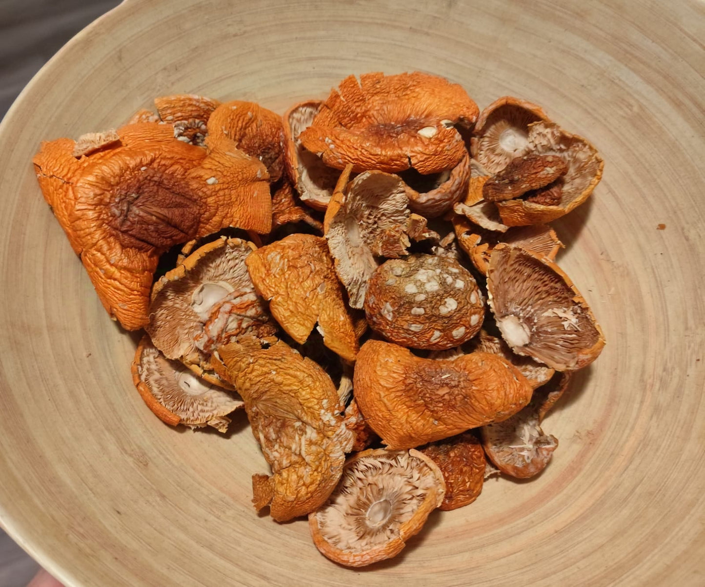 Amanita Muscaria Red, Eastern Europe dried caps