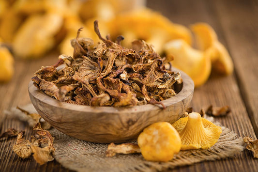 Chanterelle dried , Eastern Europe