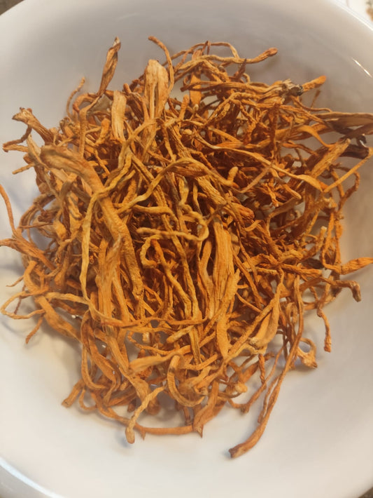 Cordyceps dried mushrooms, Eastern Europe